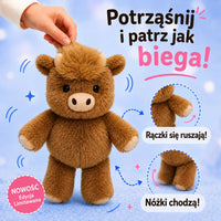 Szkocka Krówka
